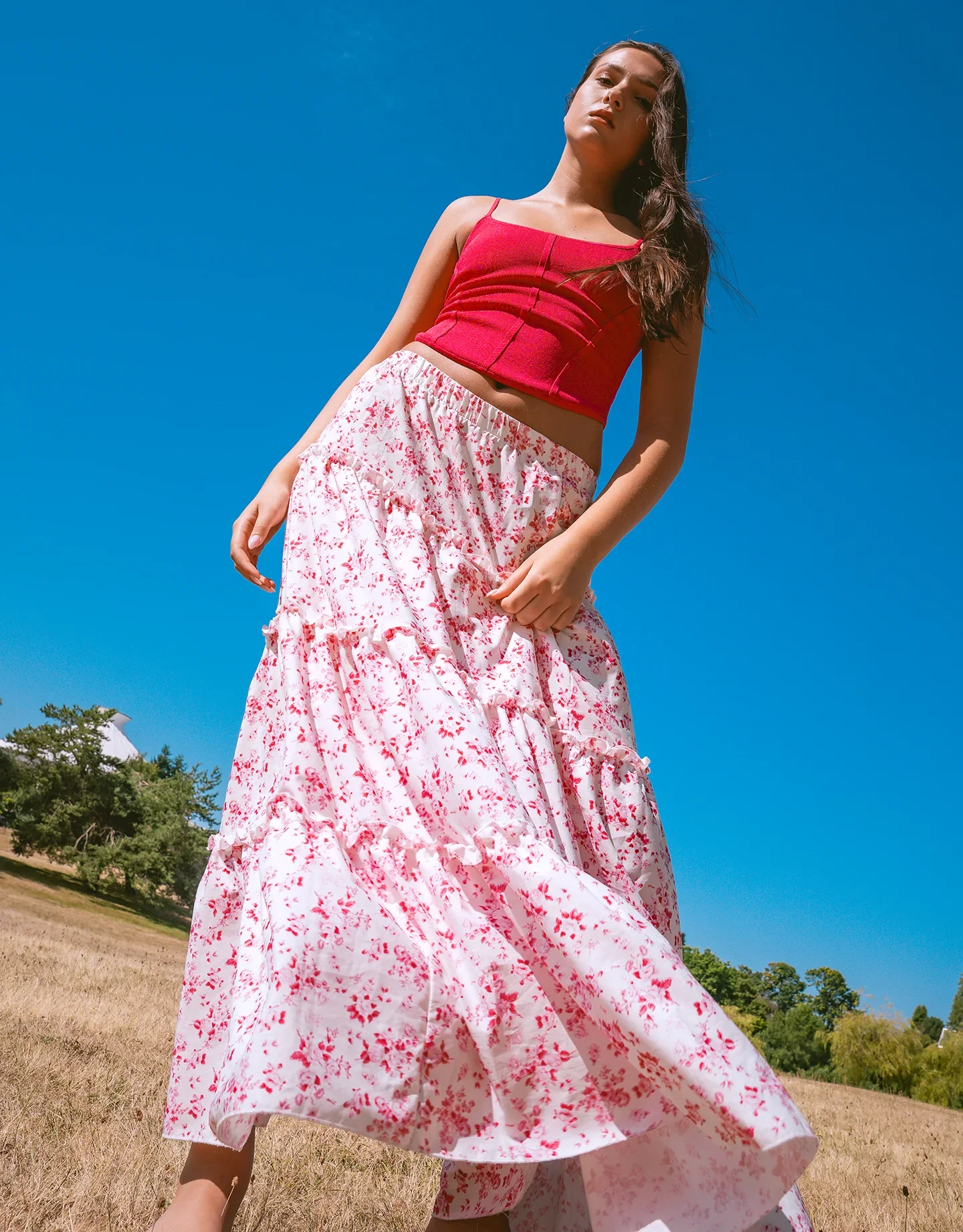 Summer Reverie